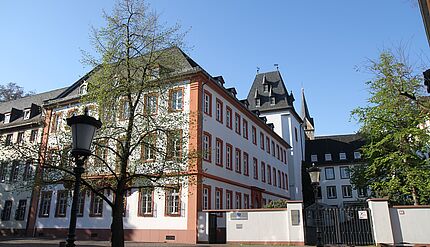 Maria Ward-Schule Mainz, Gymnasium